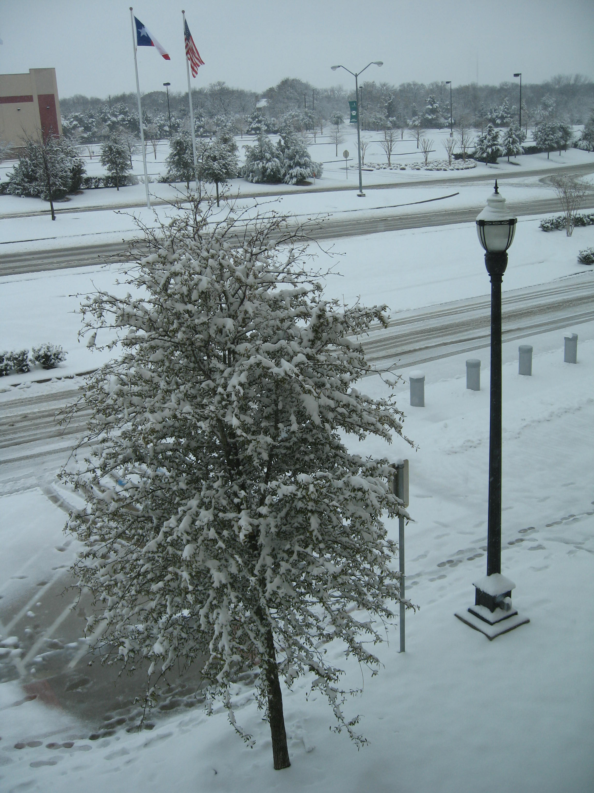 10.02.11 cedar hill snow scenes 007